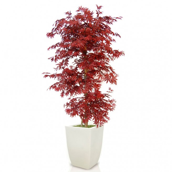 Planta semi-artificiala Ila, Maple Multistep Burgundy - 210 cm